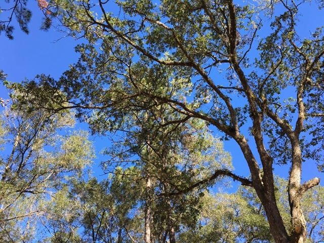 Go to Ray F's profile