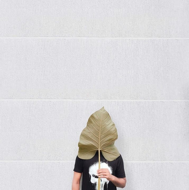 Go to Ameer K i's profile