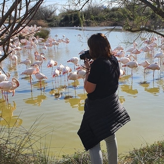 Go to Nathalie Gurtler's profile