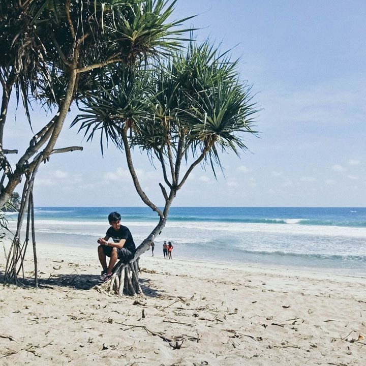 Avatar of user Aldrin Rachman Pradana