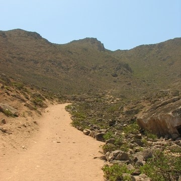 Ve al perfil de Isidro Lam