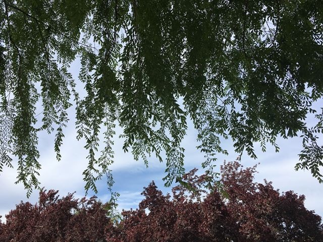 Accéder au profil de Ludwig Theodor von Ruhm