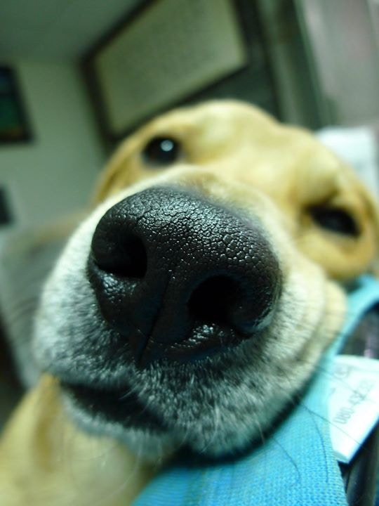 Go to Arawark chen's profile