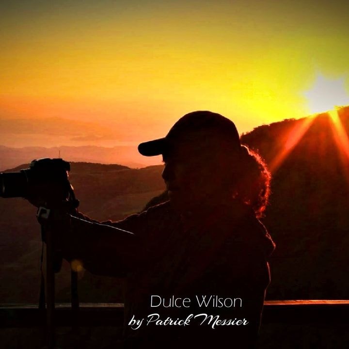 Go to Dulce Wilson's profile