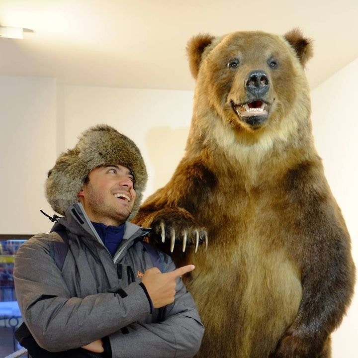 Go to DAVID VEGA's profile