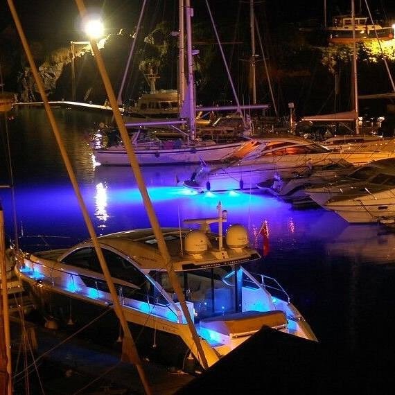 Go to Bluefin Led's profile