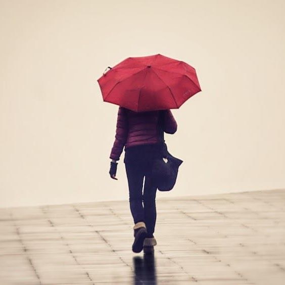 Go to Geda Žyvatkauskaitė's profile