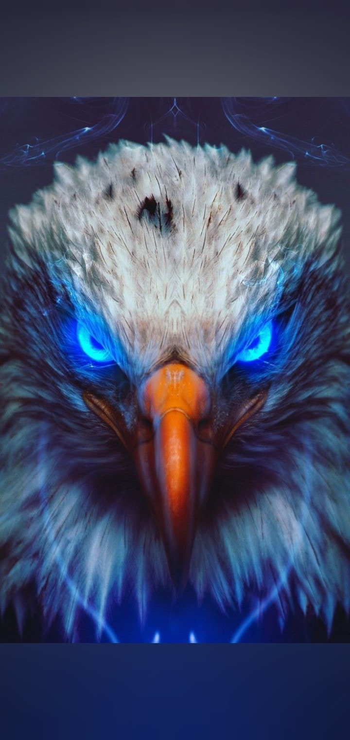 Ir para o perfil de Rahul Chopade