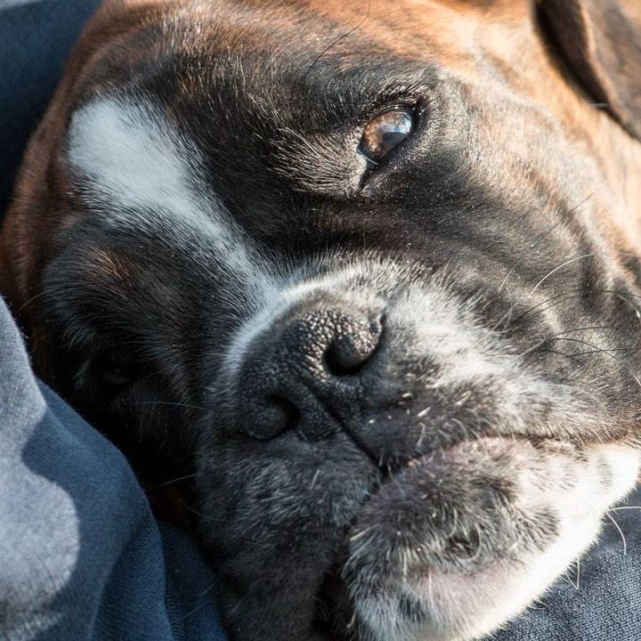 Zum Profil von Michael Mette