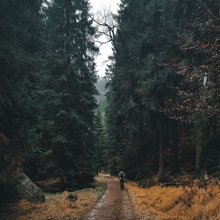 Go to Nils Geldner's profile