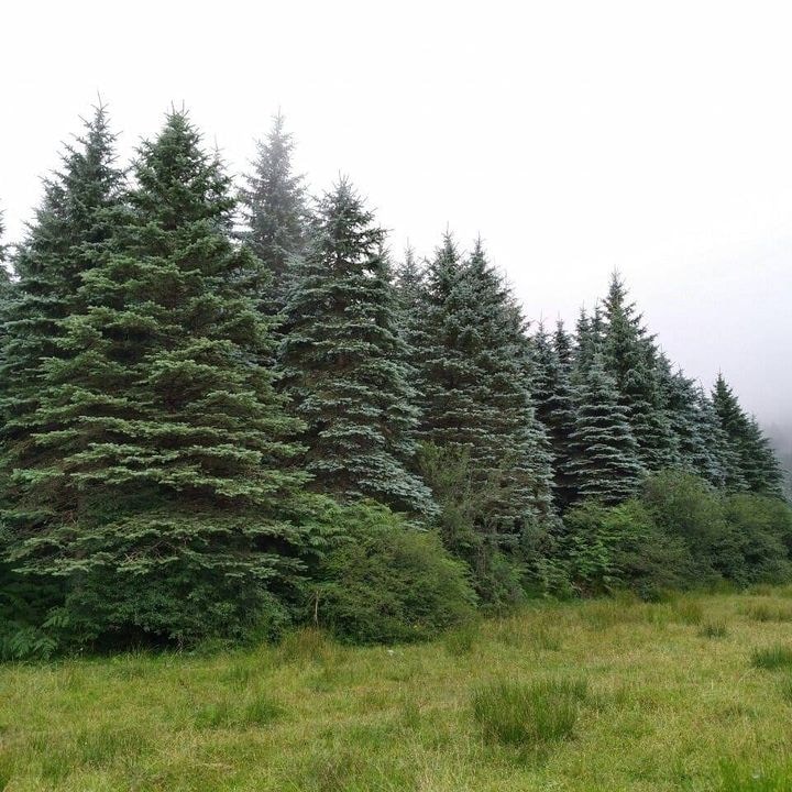 Go to Parham Moieni's profile