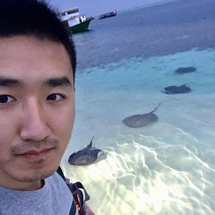 Go to hao qin's profile