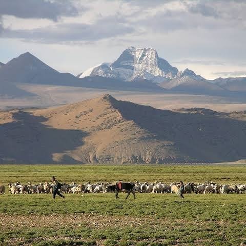 Go to Zain Abid's profile