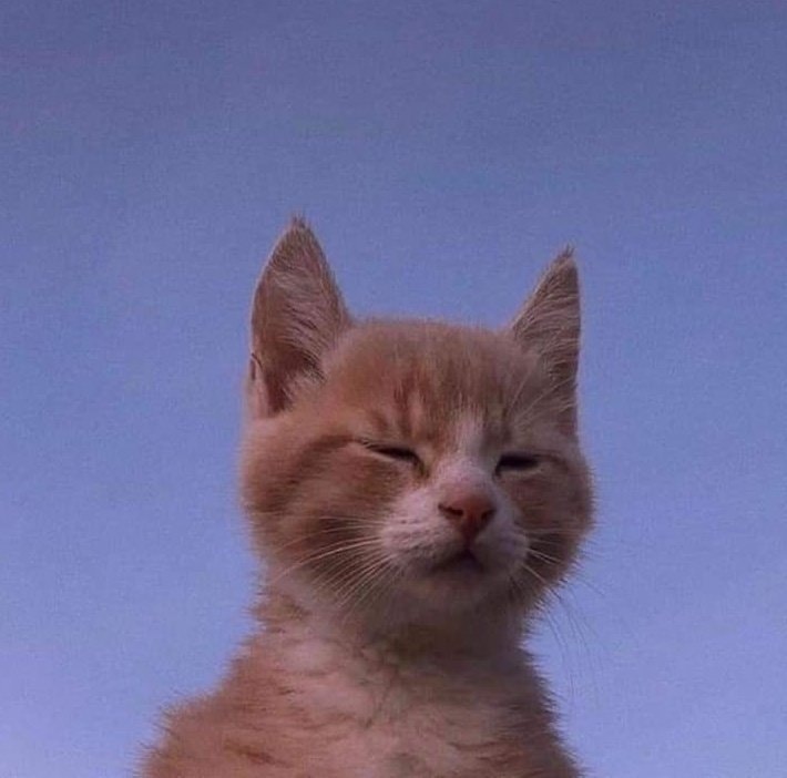 Go to somaia ahmed's profile