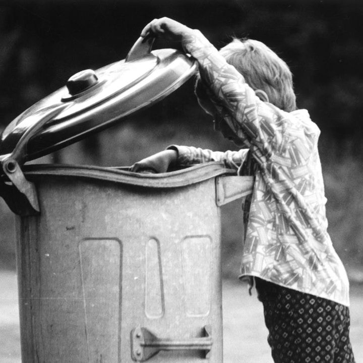 Go to Dalibor Janeček's profile