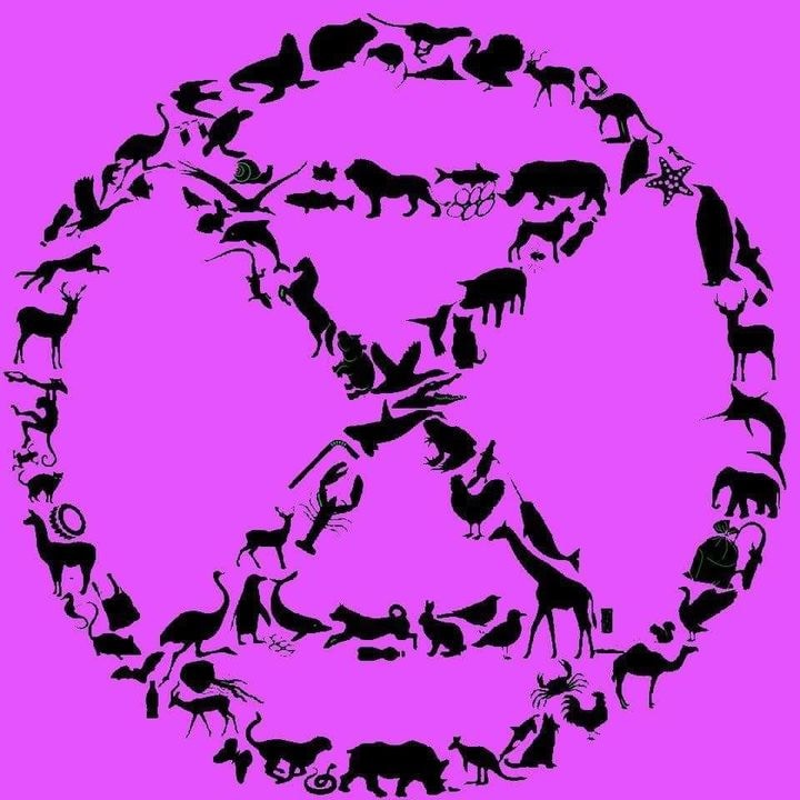 Go to Brenda Holoboff's profile