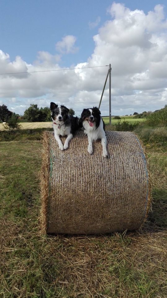 Zum Profil von Anke´s Fotoshooting