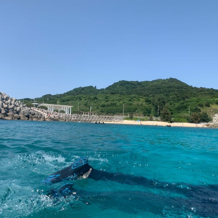 Go to Stefanie Akkerman's profile