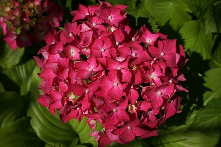 Go to Tatiana Glazkova's profile