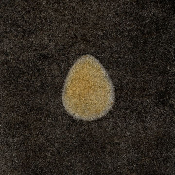 Avatar of user Alain Ernst