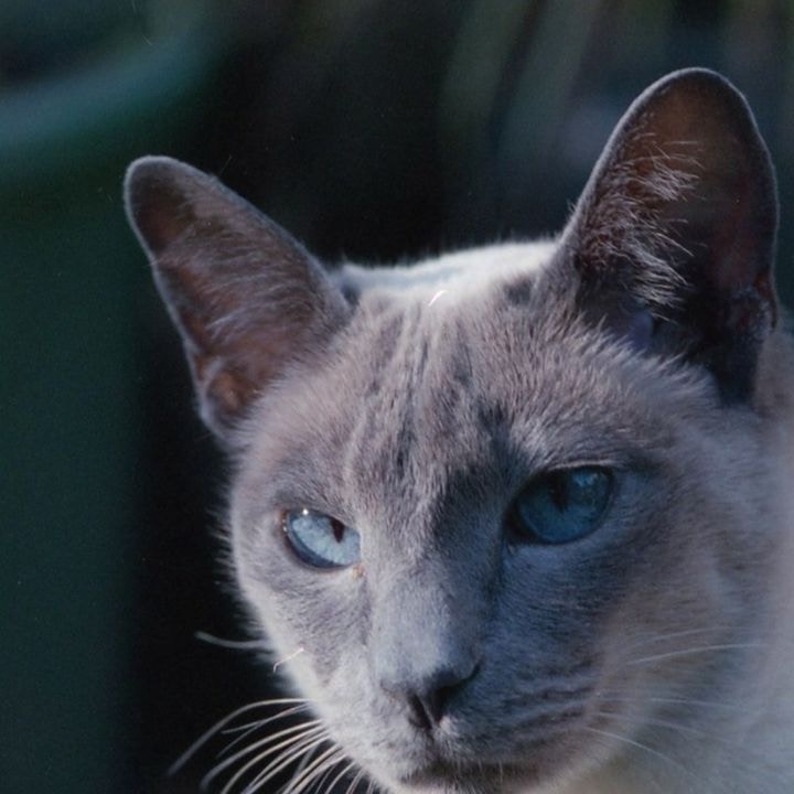 Go to Micky White's profile