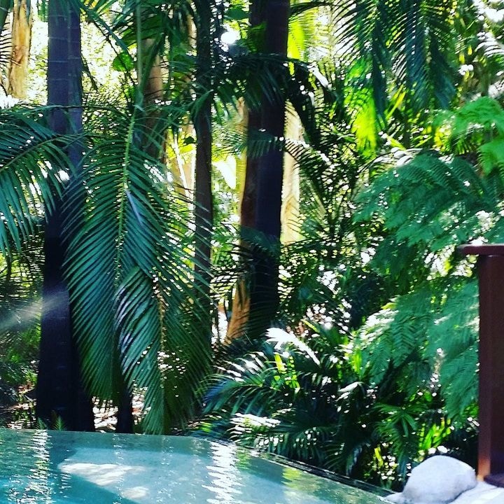 Go to Dianne Taylor's profile