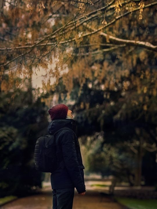 Go to jimmy desplanques's profile