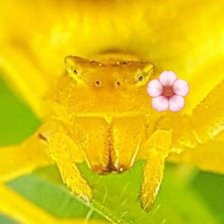 Ir para o perfil de Ihab Qunaibi