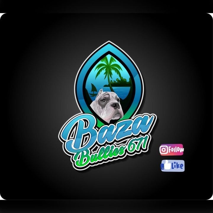 Go to Stephanie Baza's profile