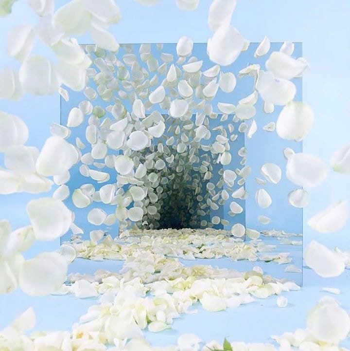 Zum Profil von Anna Cheng