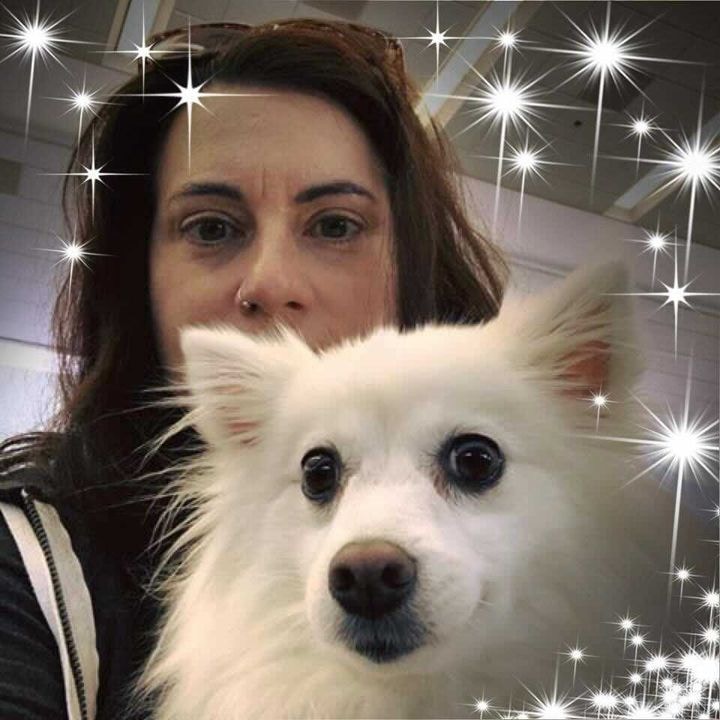 Go to Lorri Guccione's profile