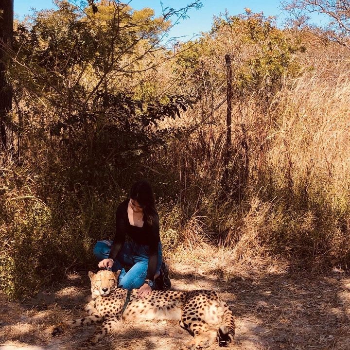 Go to dara tucto's profile