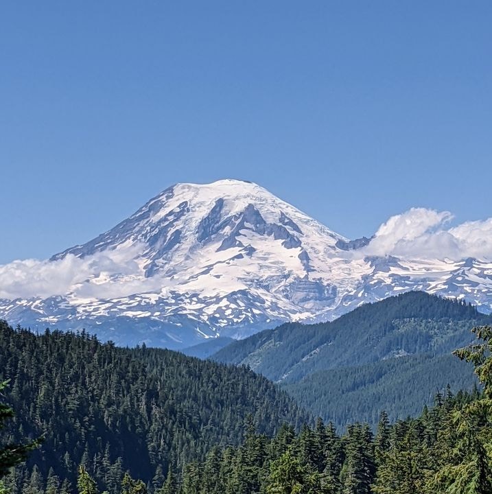 Go to Ryan F's profile