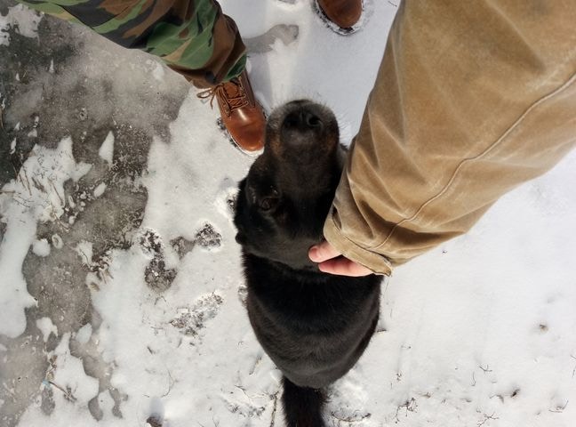 Go to Evgeniy Smersh's profile