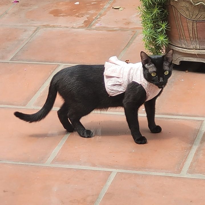 Go to Phương Anh Nguyễn's profile