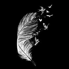 Unsplash profile picture for @afar
