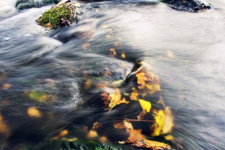 Go to Andrus Lukas's profile