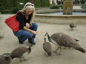 Vai al profilo di Svetlana Kruzhylina