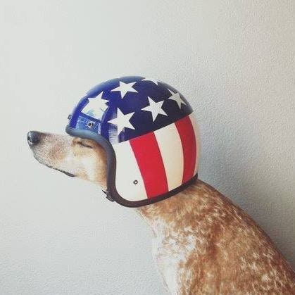 Go to Stéphanie Etienne's profile