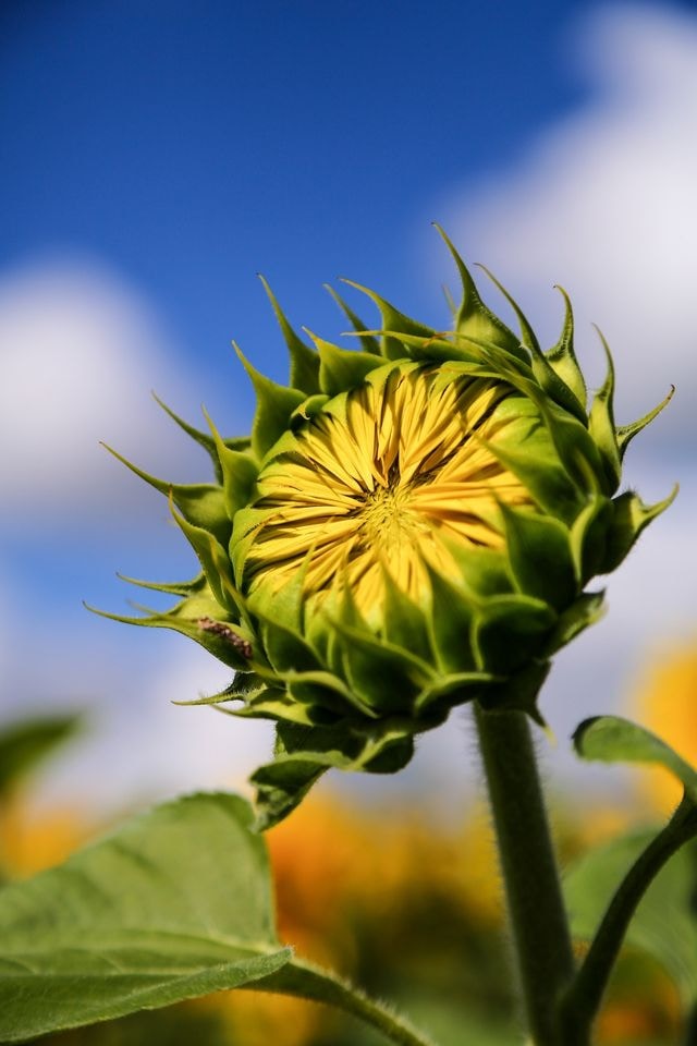 Go to Teresa O.'s profile