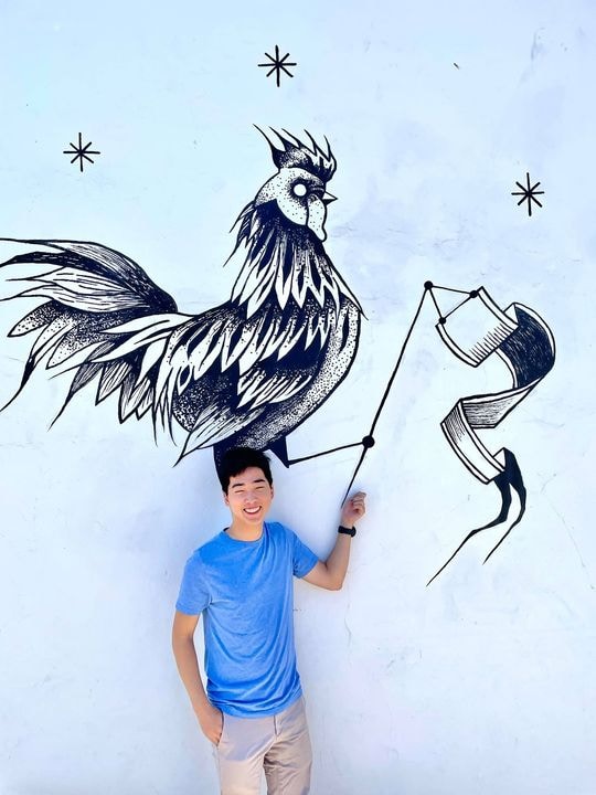 Unsplash profile picture for @chickens