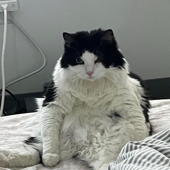 Zum Profil von Demian Du