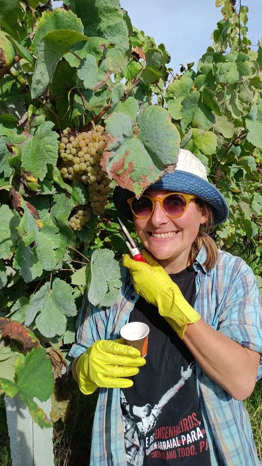 Go to Veronika Wölfelová's profile