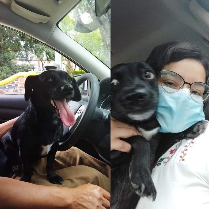 Avatar of user Katia Gabriela Martínez Álvarez