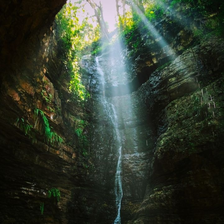 Zum Profil von Raghavendra