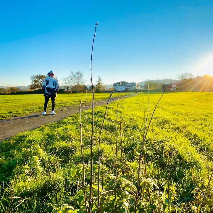 Go to Noe Perrard's profile