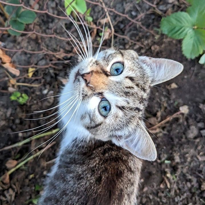 Go to Vlad Savan's profile