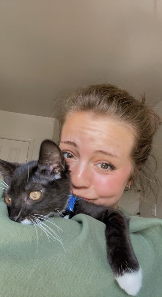 Zum Profil von Attalie Hart