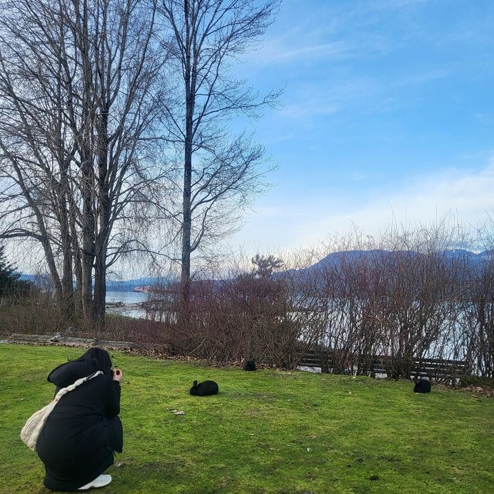 Go to Juyoung Lee's profile