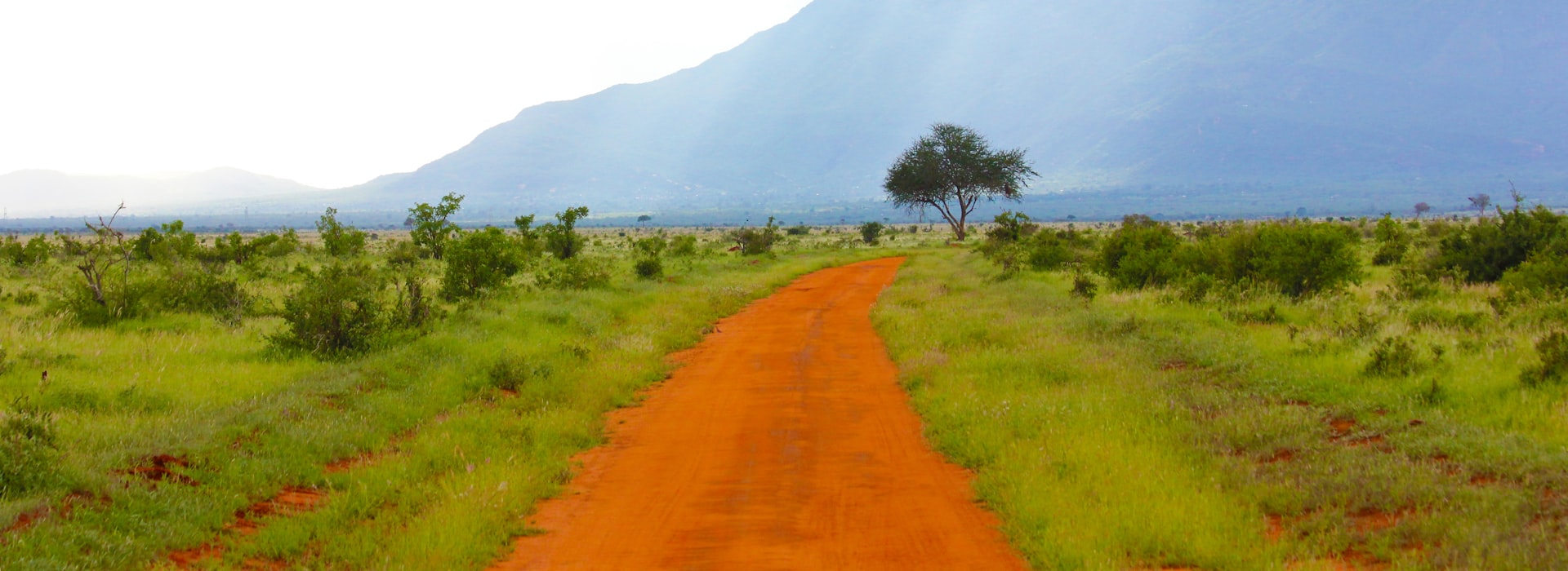 Malawi landscape